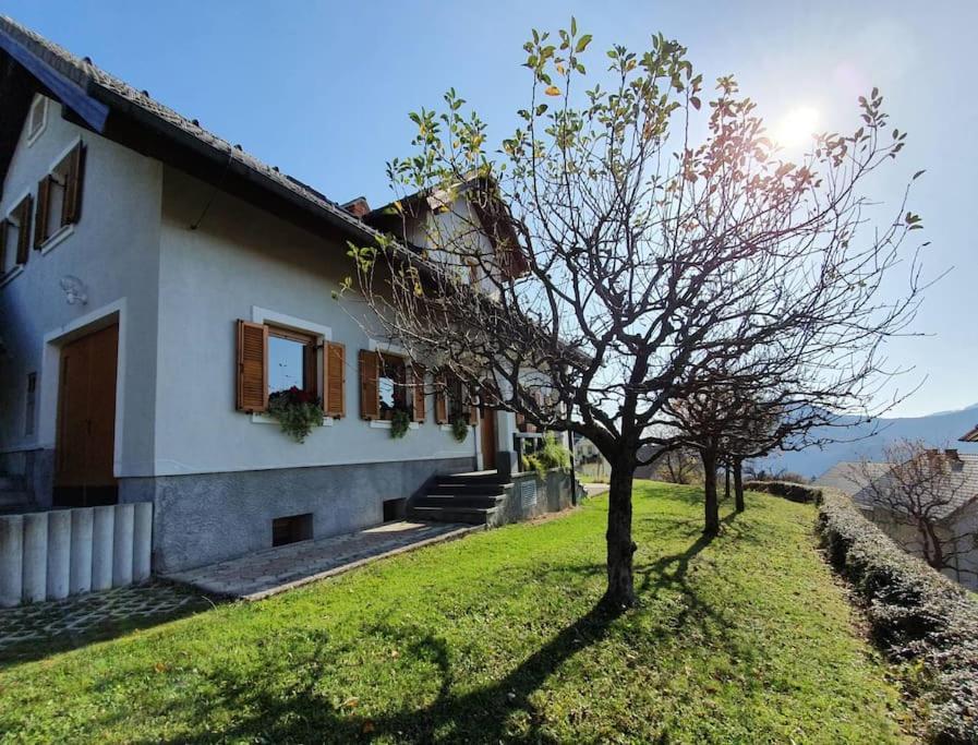 Willa House Pucnk-Beautiful Countryside Zelezniki Zewnętrze zdjęcie