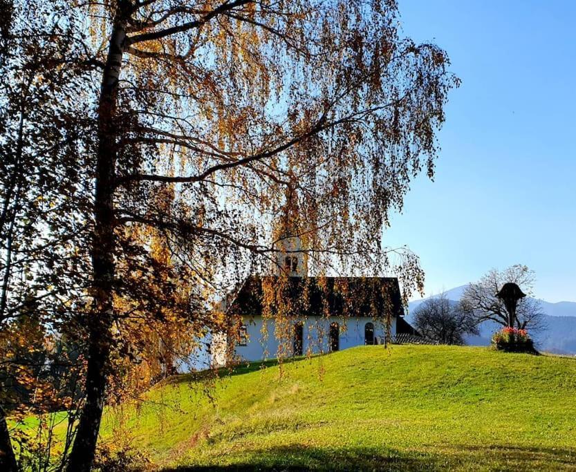 Willa House Pucnk-Beautiful Countryside Zelezniki Zewnętrze zdjęcie